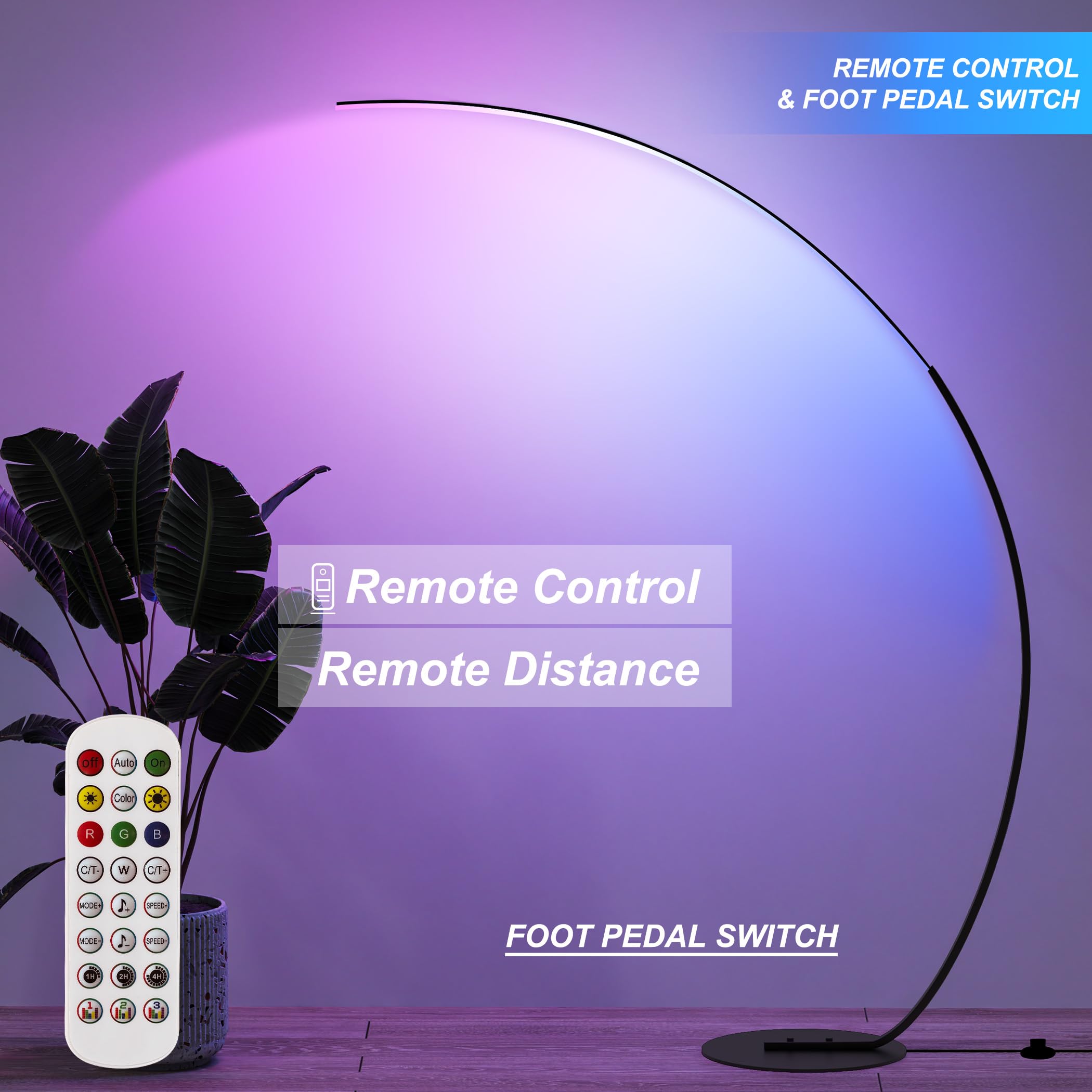 RGB Arc Floor Lamp with Remote