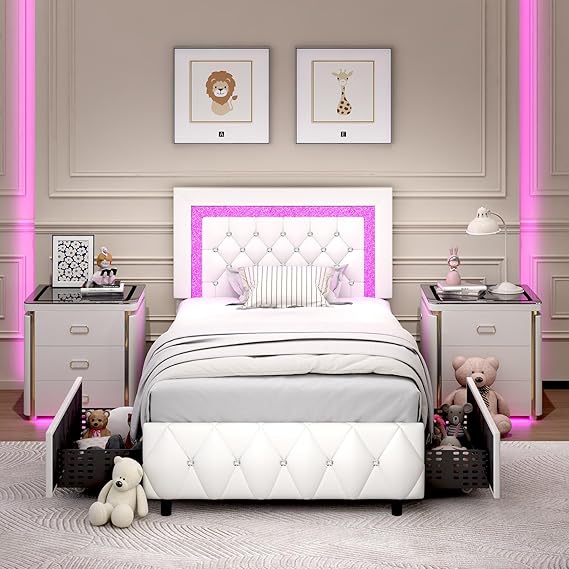 Queen LED Bed Frame with Storage Drawers