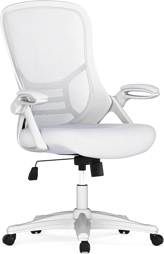 Ergonomic Mesh Office Chair with Lumbar Support