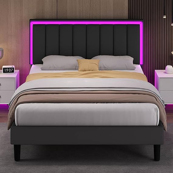 Queen Bed Frame with LED Lights