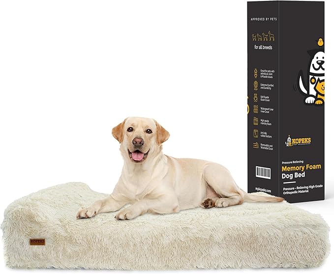 Orthopedic Memory Foam Dog Bed - Extra Large with Pillow