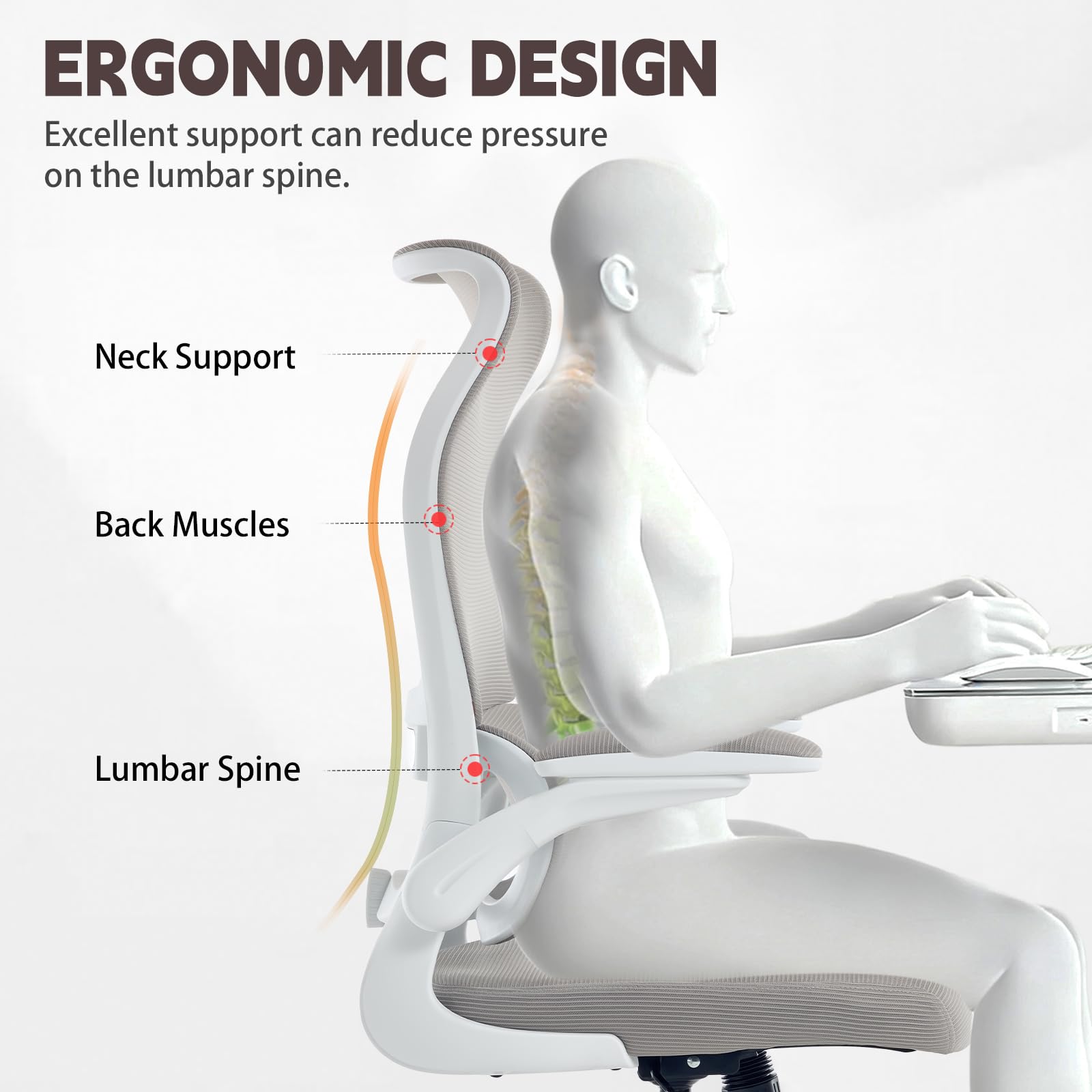 High Back Mesh Office Chair with Adjustable Lumbar Support