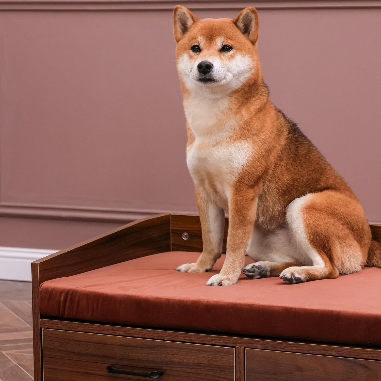 Elevated Dog Bed Frame with Mattress