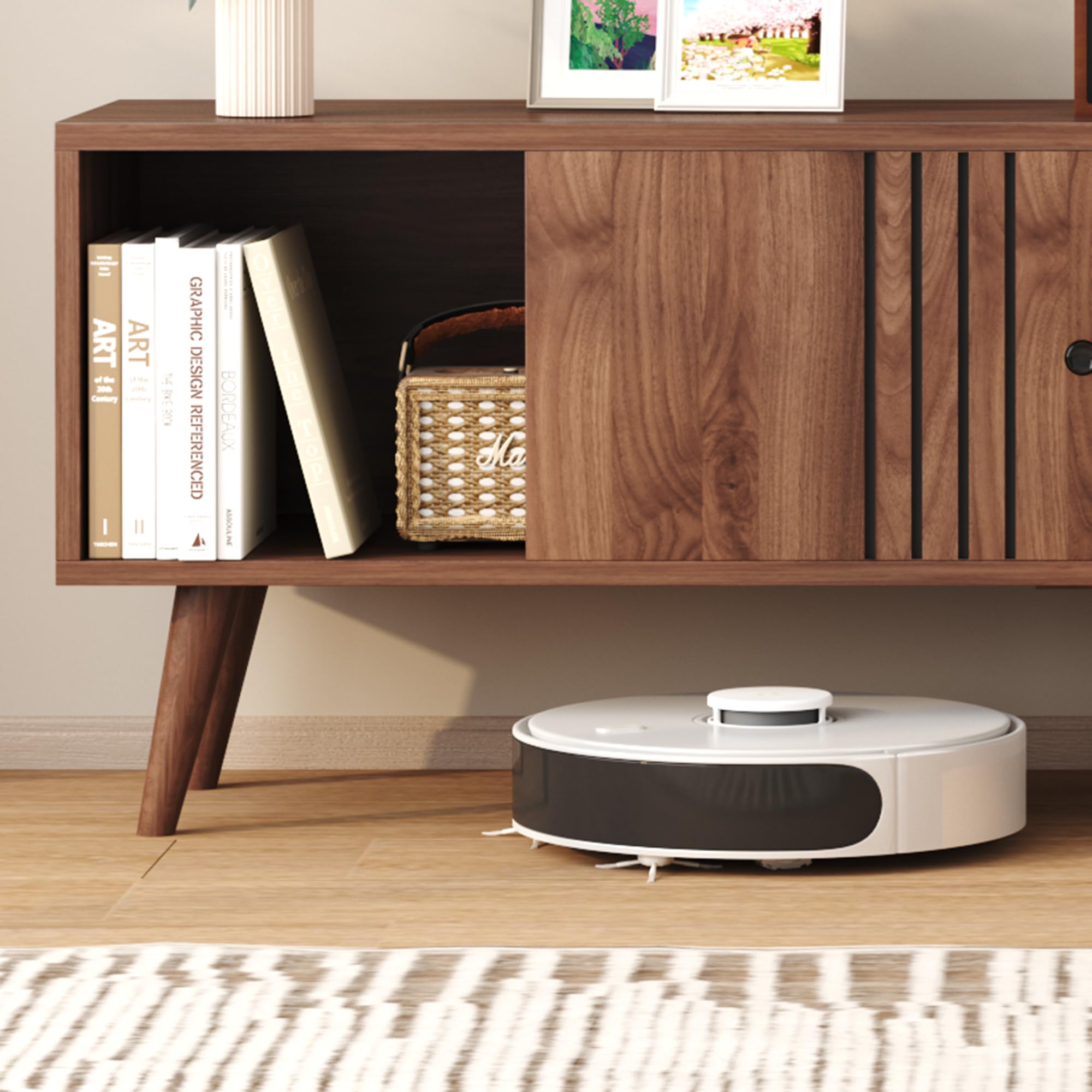 Mid-Century Modern TV Stand with Sliding Door