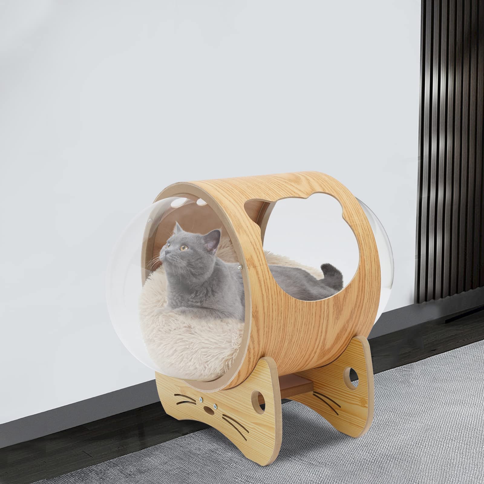 Capsule Cat Bed with Acrylic Dome