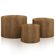 Nesting Coffee Table Set of 3 Round Wooden Tables