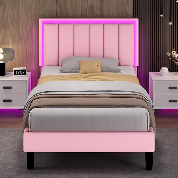 Queen Bed Frame with LED Lights