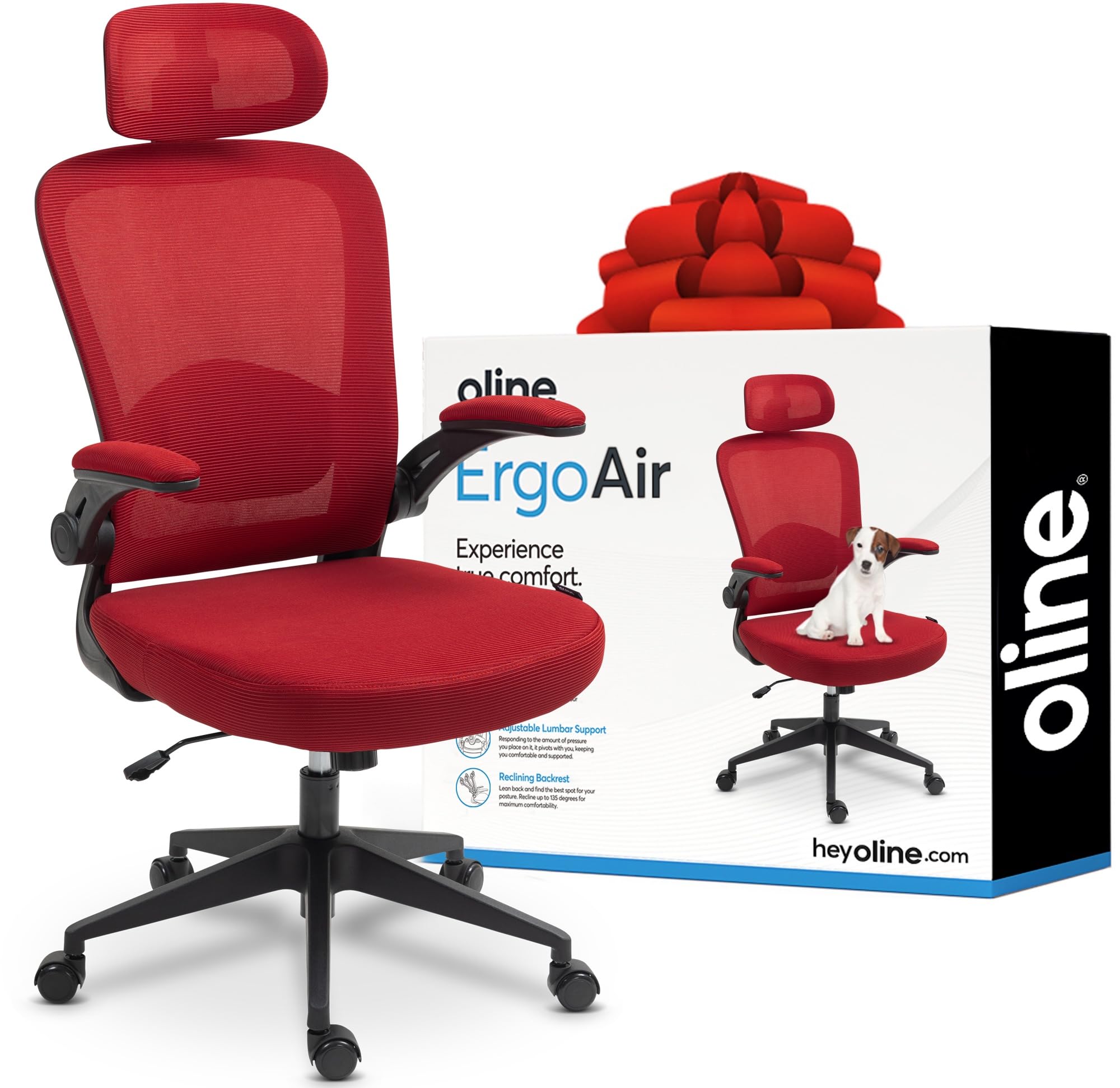 Ergonomic Office Chair with Adjustable Lumbar Support