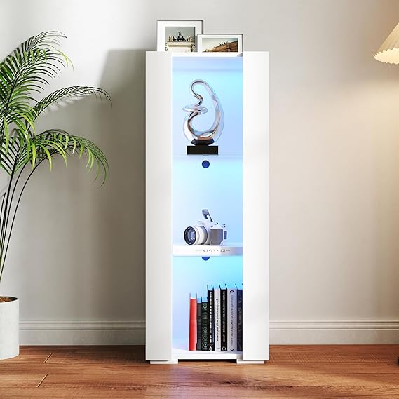 67" LED Display Cabinet with Glass Shelves