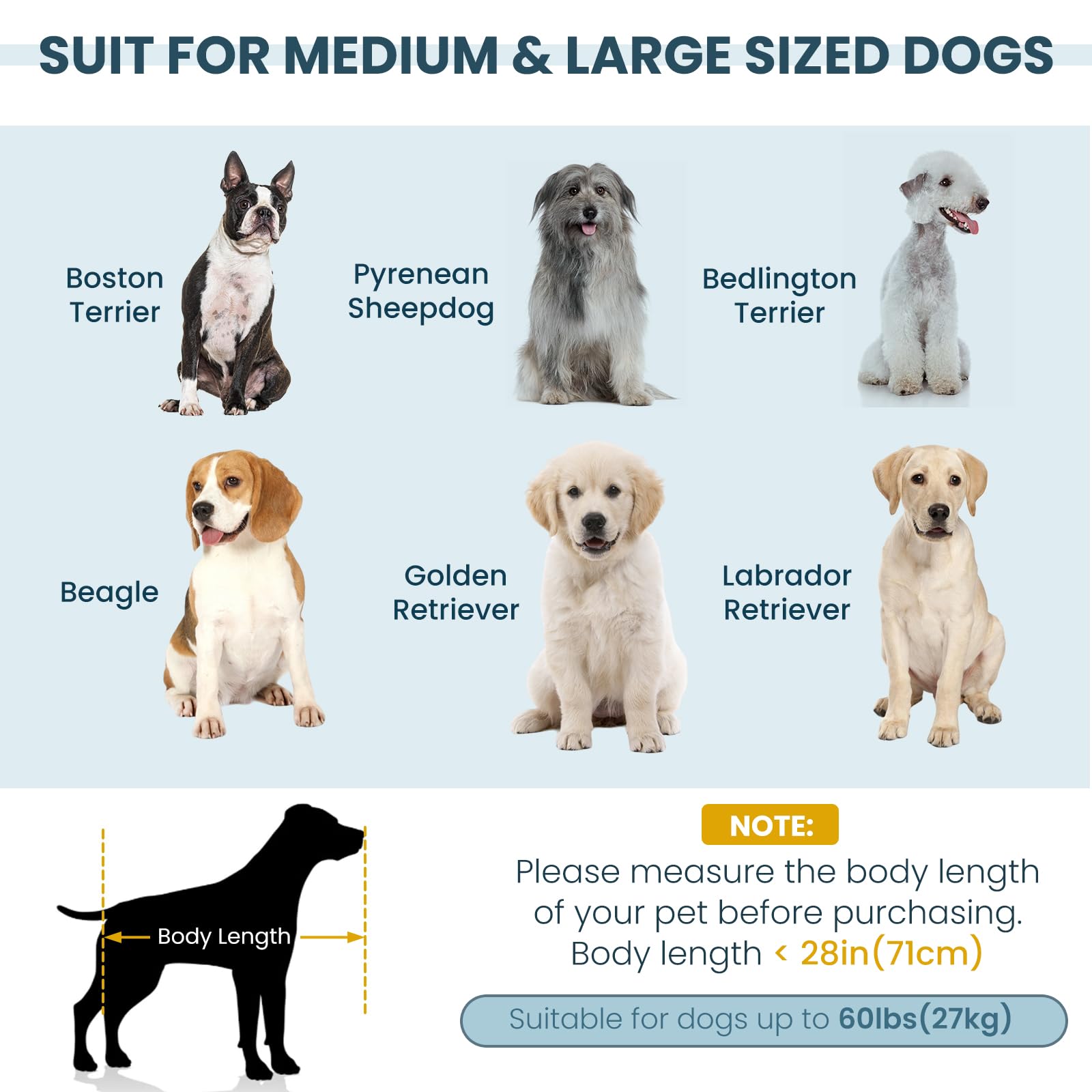 Elevated Dog Sofa with Backrest and Armrests