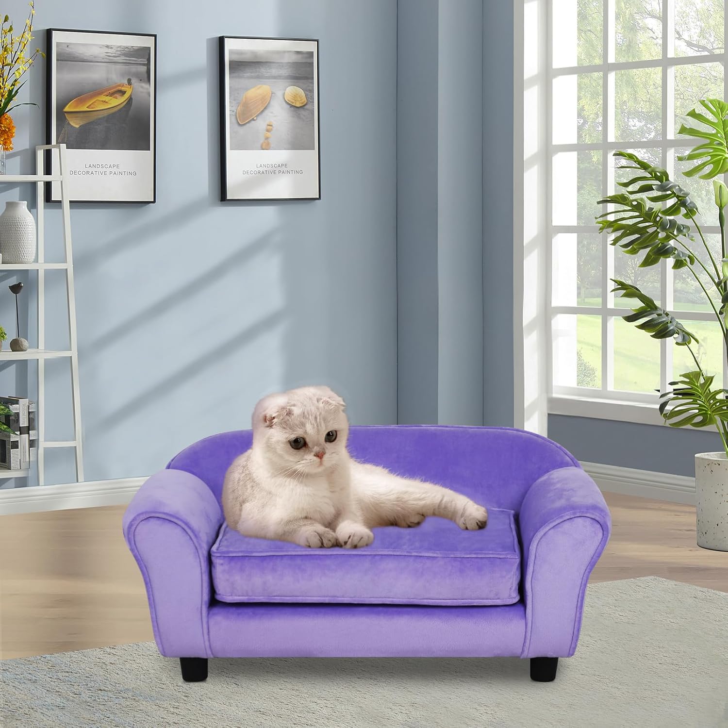 Small Dog Sofa Bed with Washable Cushion