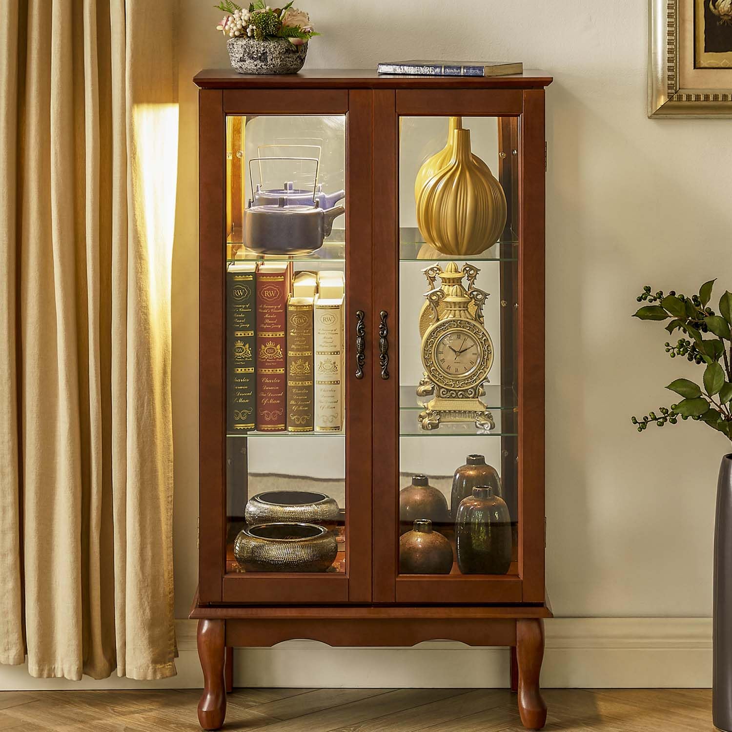 Curio Cabinet with Glass Doors and Adjustable Shelves