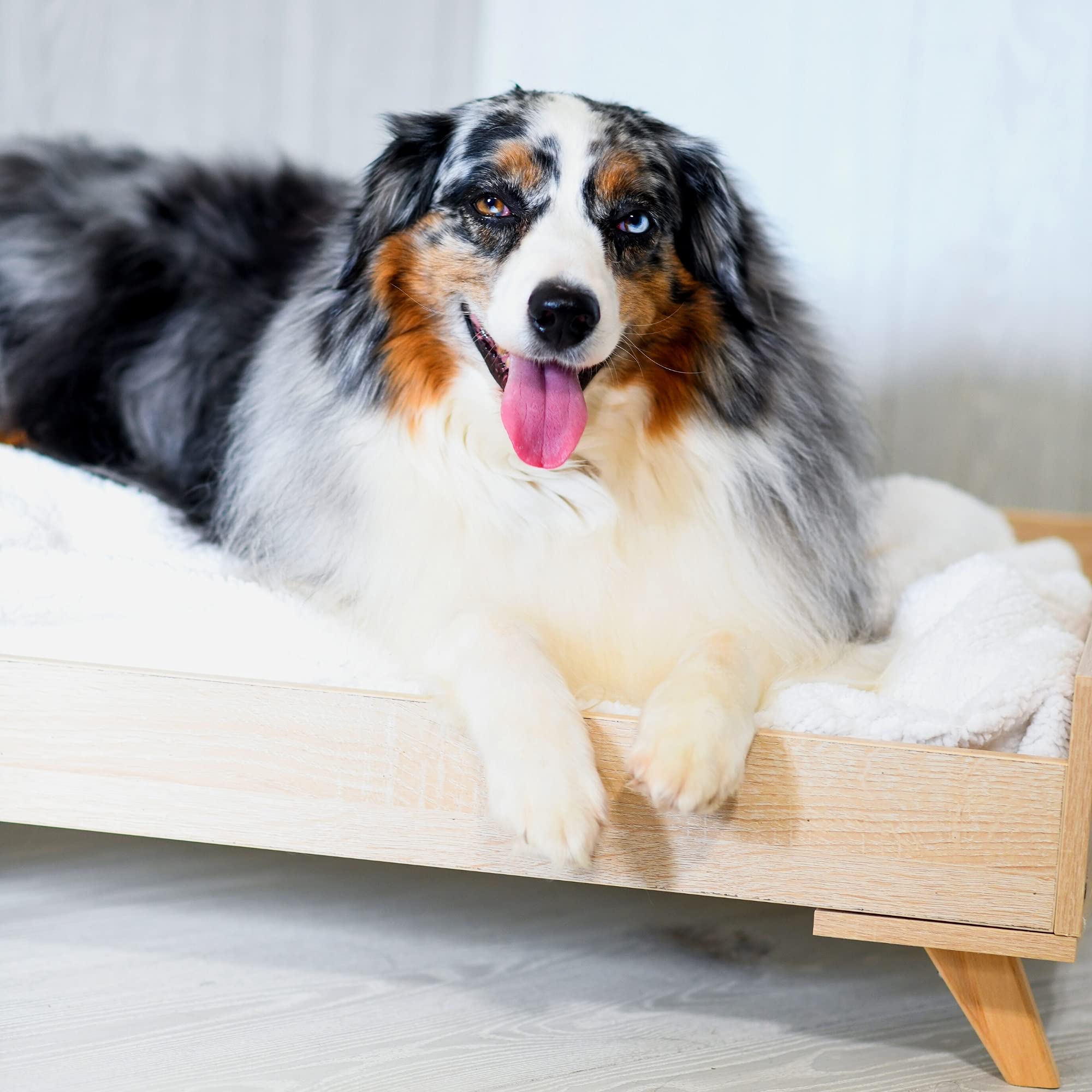 Raised Wooden Dog Bed Frame Large