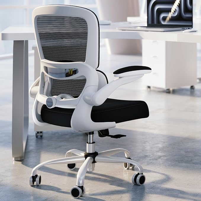 Ergonomic Office Chair with Adjustable Lumbar Support