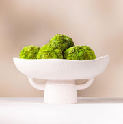 White Textured Ceramic Pedestal Bowl with Succulent Moss Balls