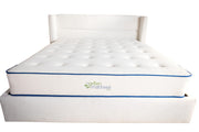 Organic Twin Mattress - GOTS Certified Natural Latex & Pocketed Coil