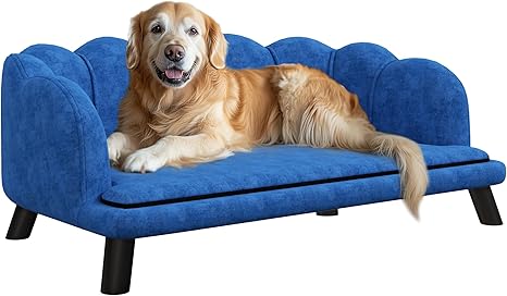 Velvet Large Dog Couch with Foam Cushion