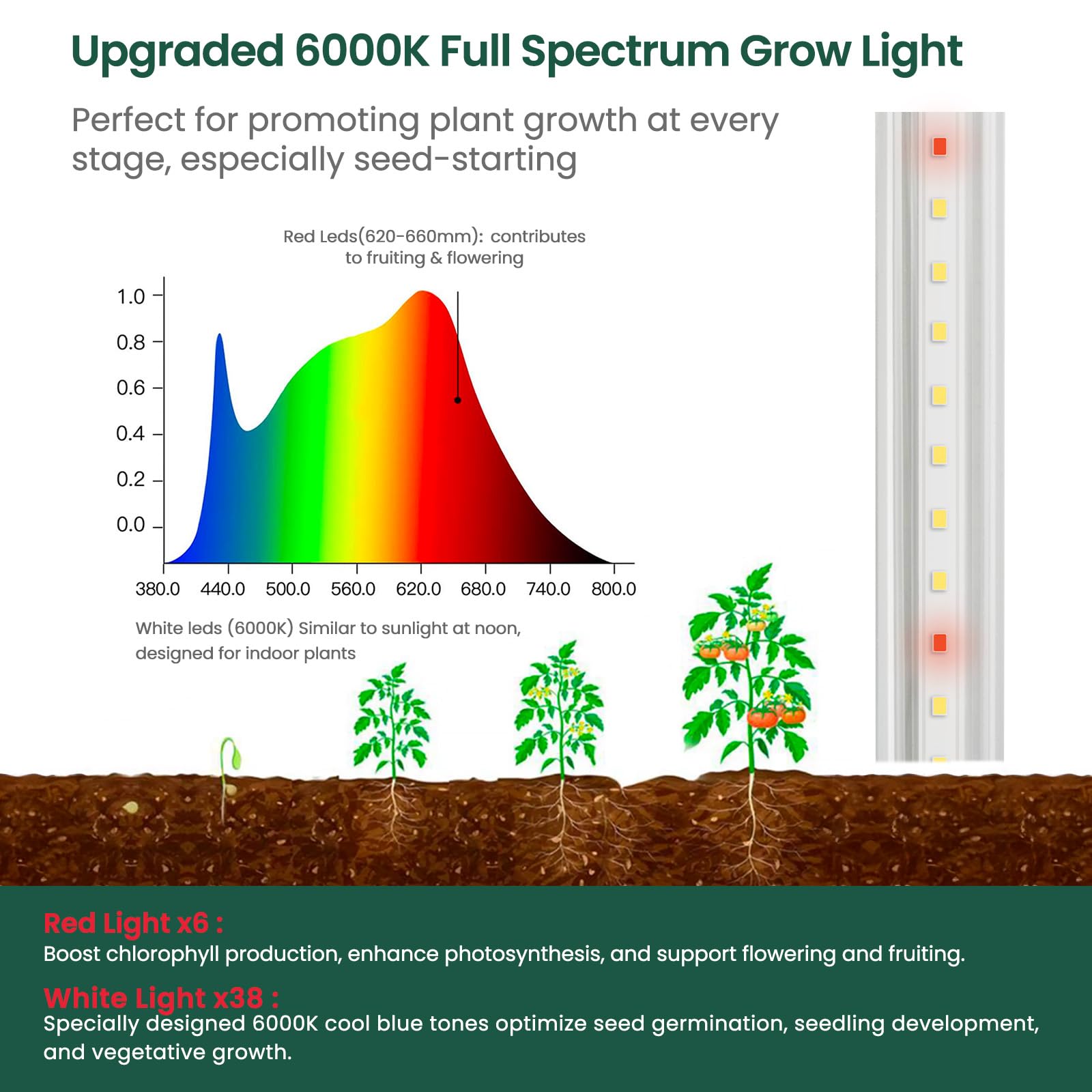 5-Tier Plant Shelf with Grow Lights