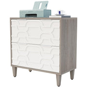 2-Drawer Lateral File Cabinet with Printer Stand