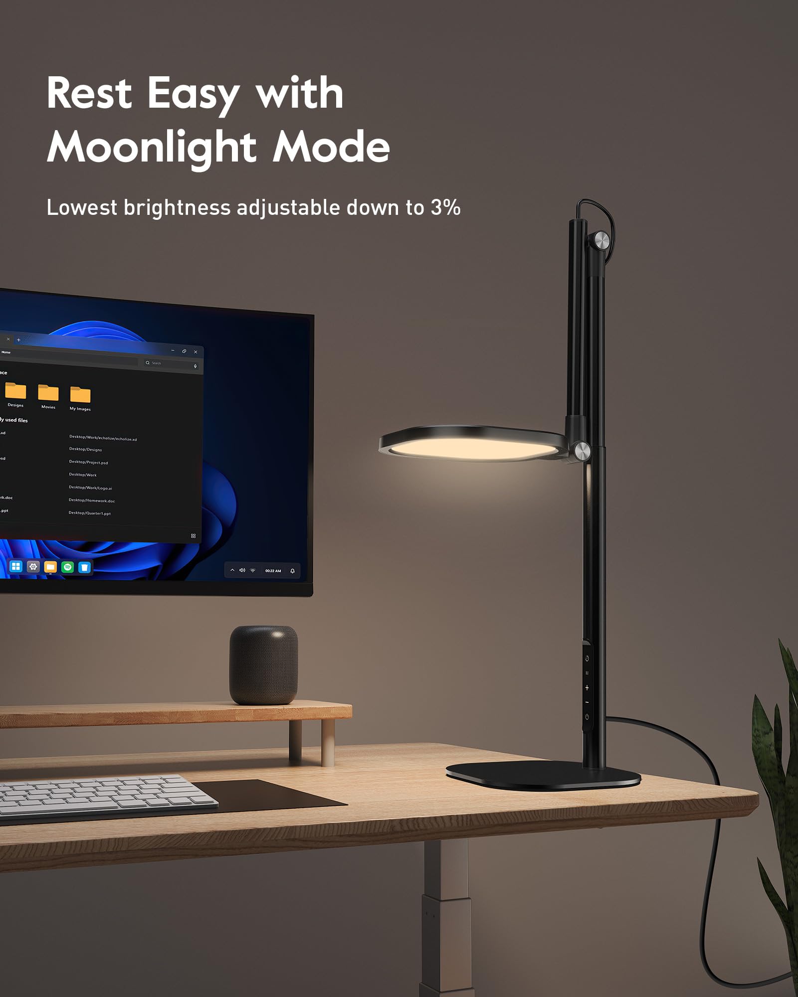 LED Desk Lamp with Adjustable Height