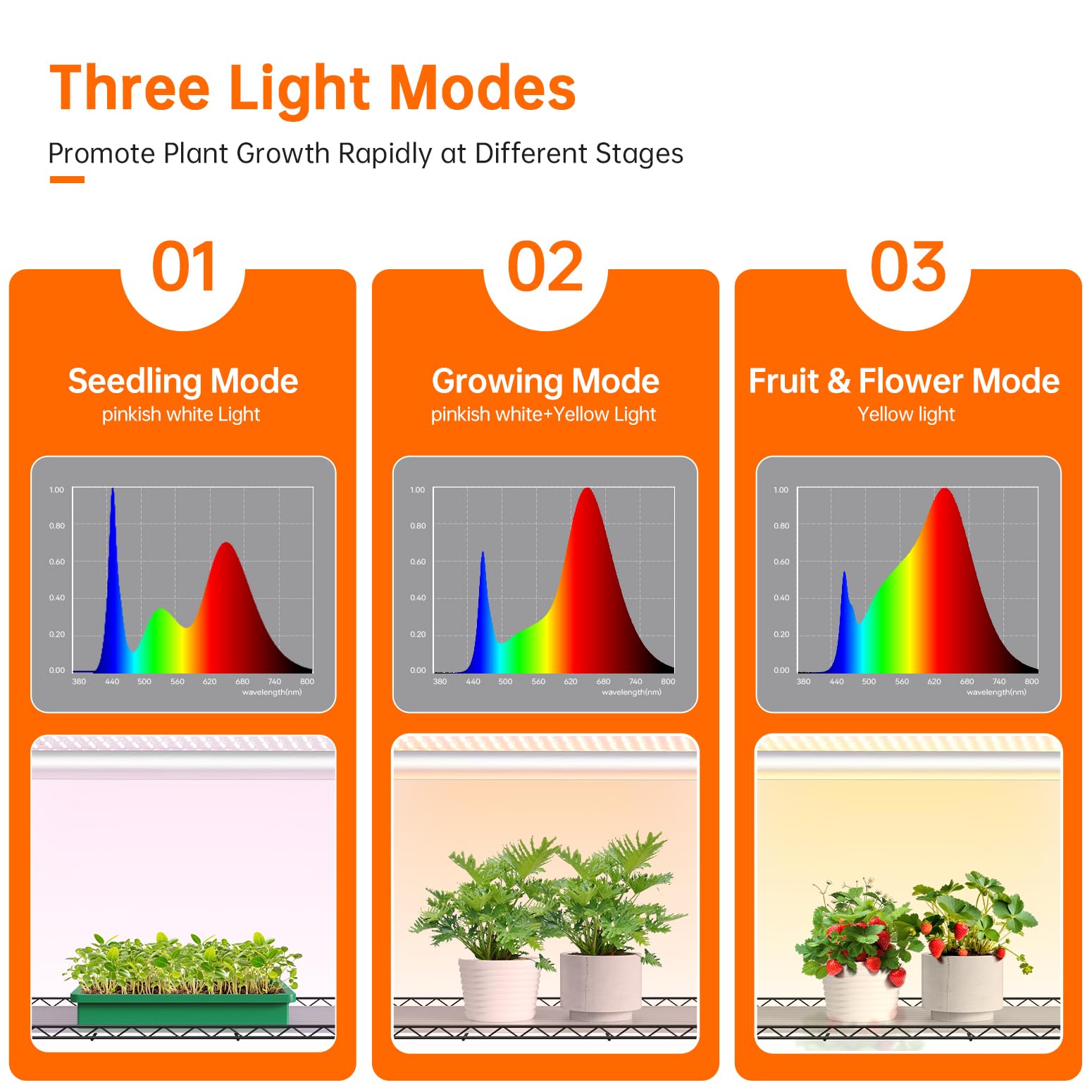 6-Tier Indoor Greenhouse with Grow Lights