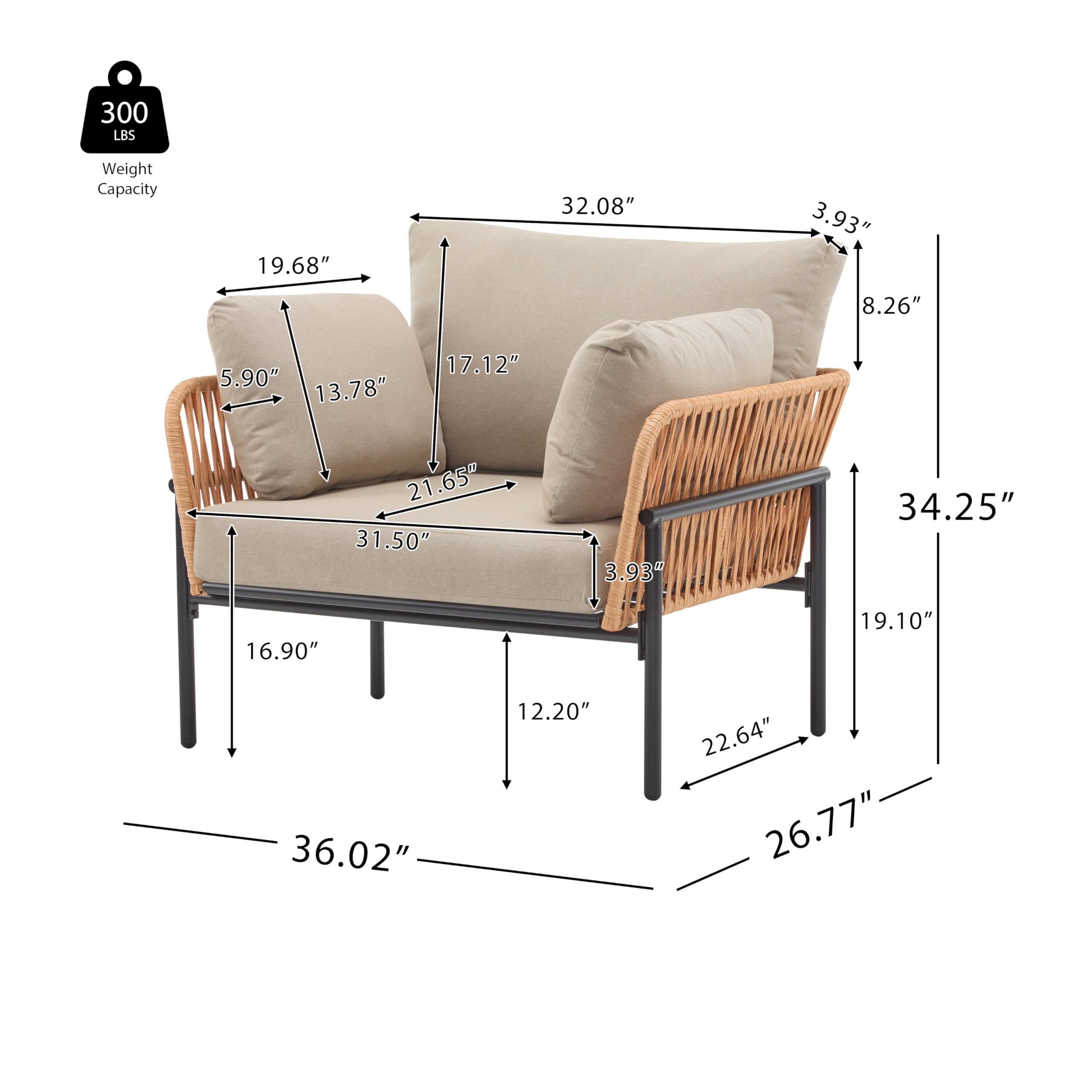 Modern Iron Lounge Chair with Rope Weave Design and Cushions