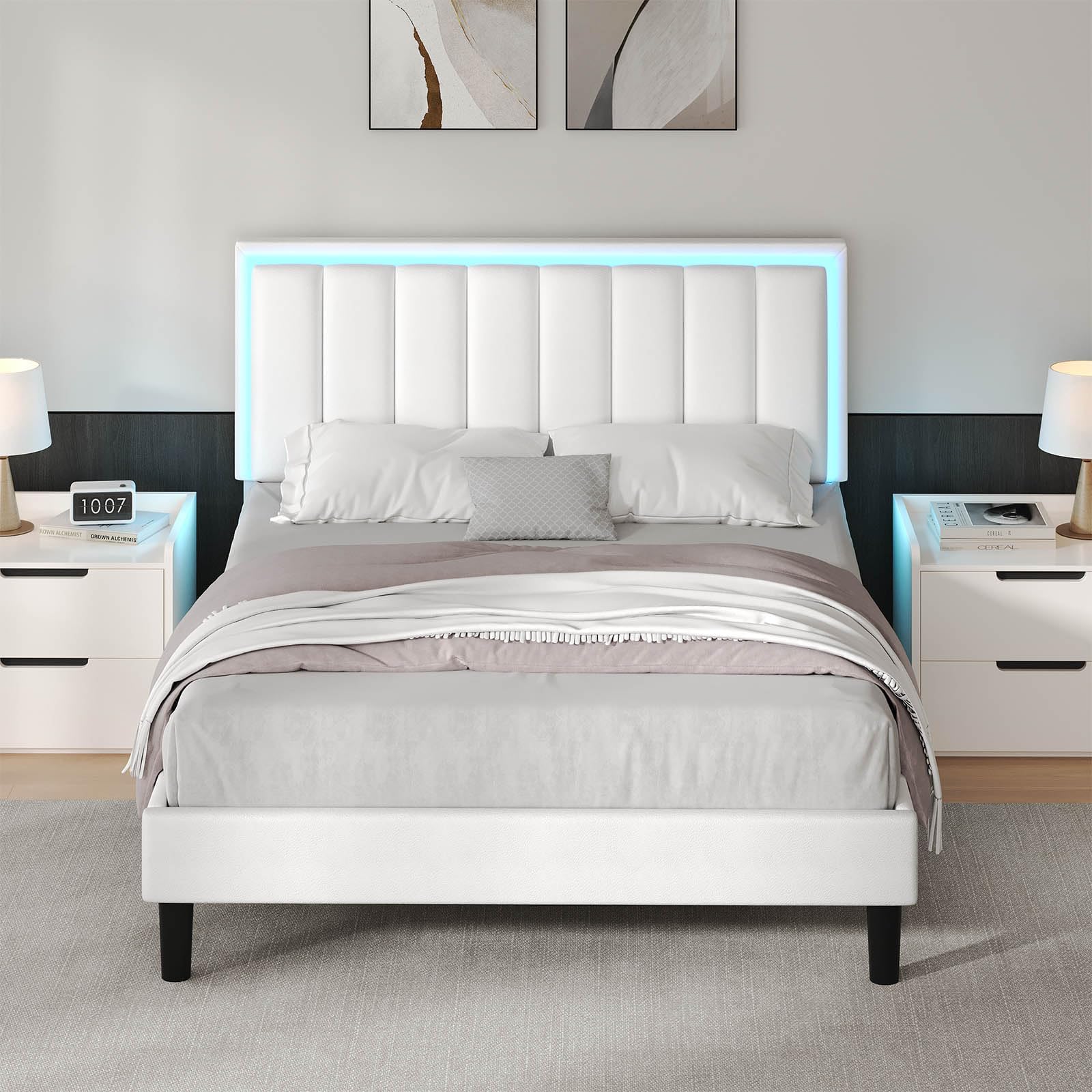 Queen Bed Frame with LED Lights