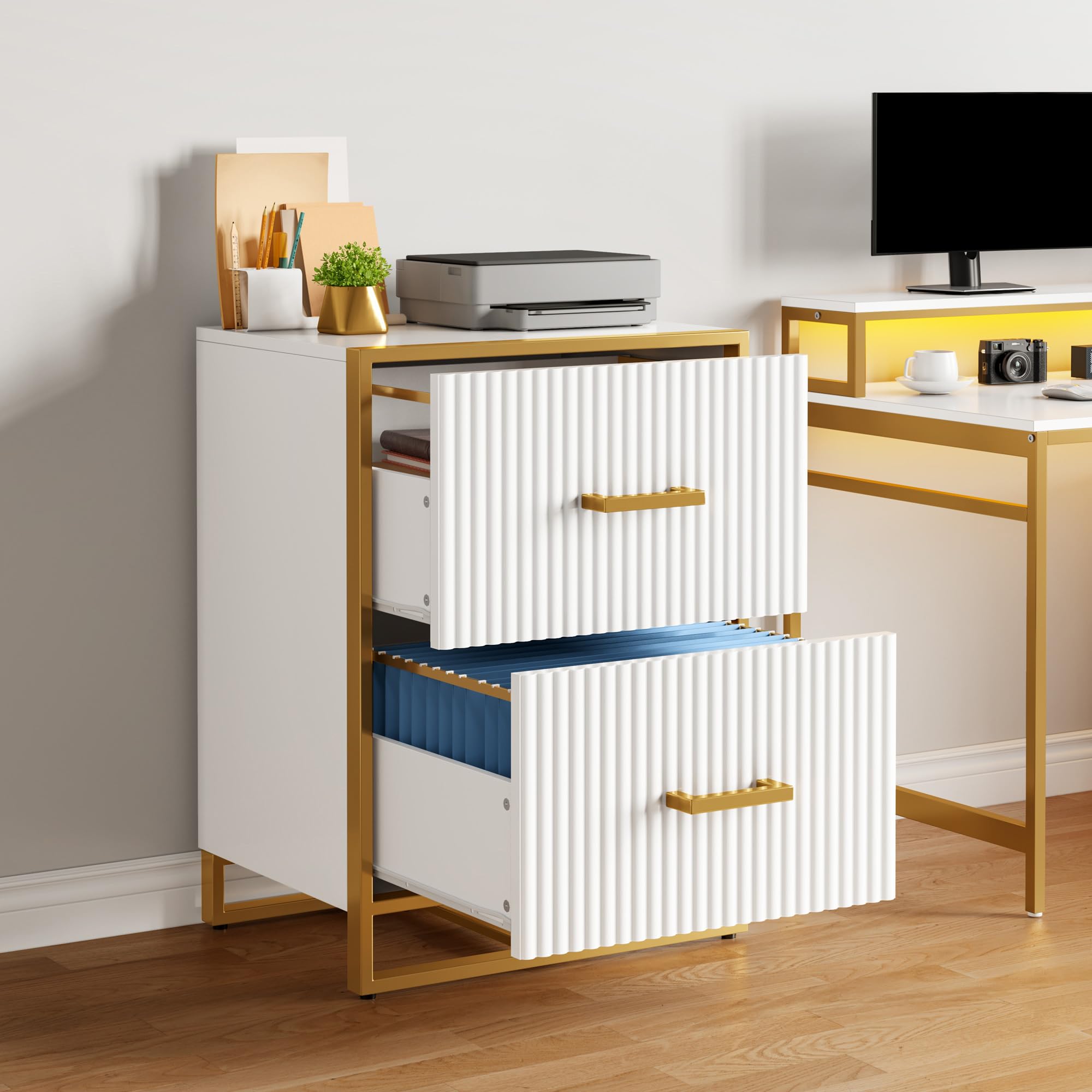 2 Drawer Lateral File Cabinet with Gold Frame