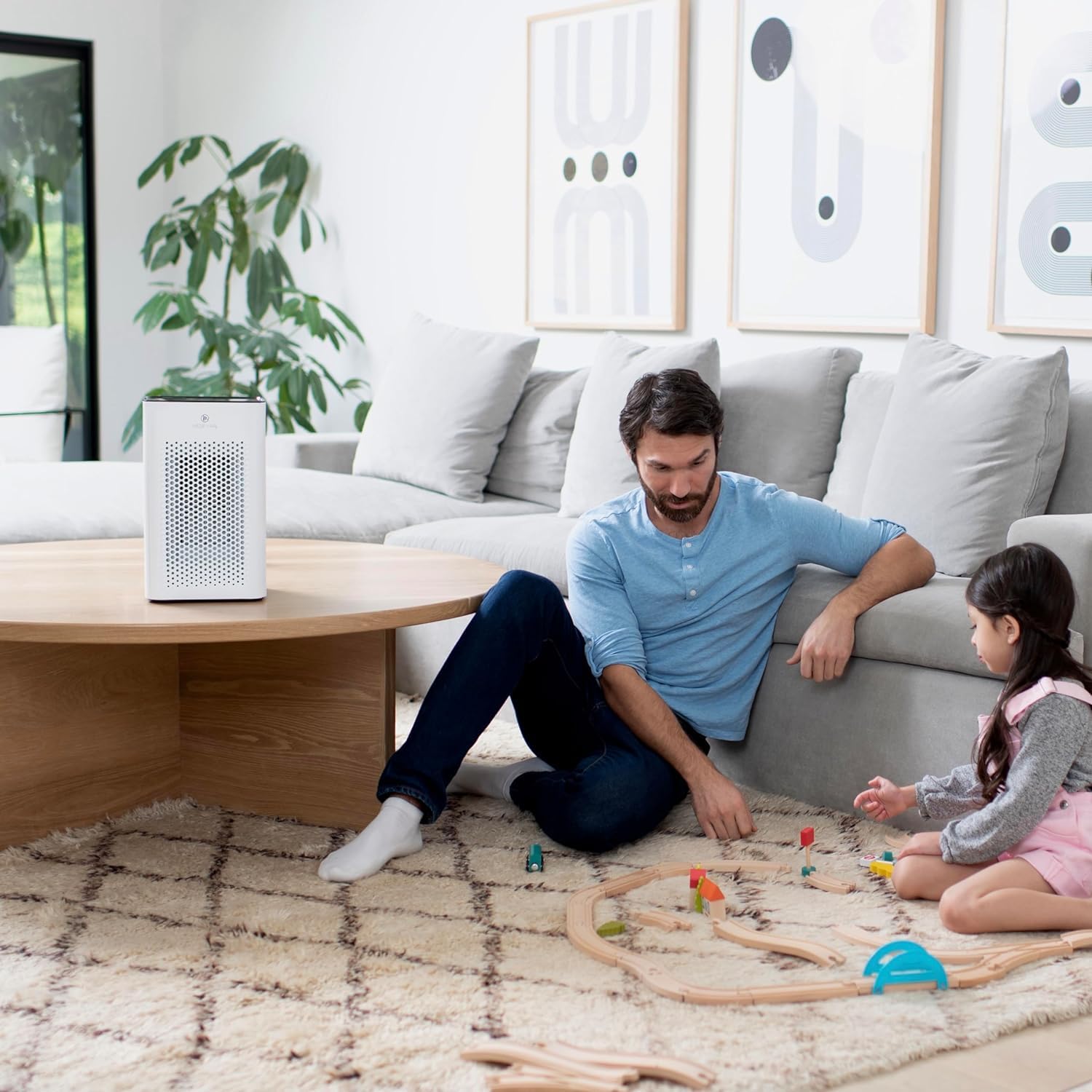 Air Purifier with True HEPA H13 Filter