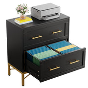 2 Drawer Lateral Filing Cabinet with Printer Stand