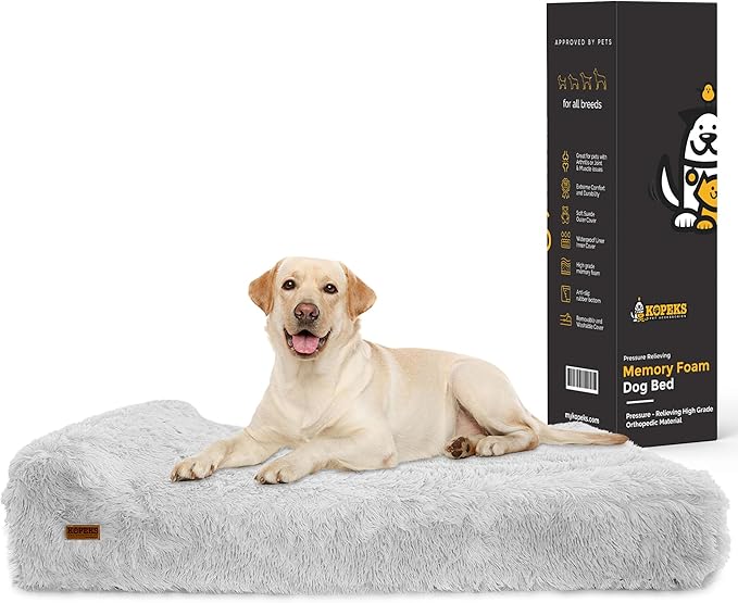 Orthopedic Memory Foam Dog Bed - Extra Large with Pillow