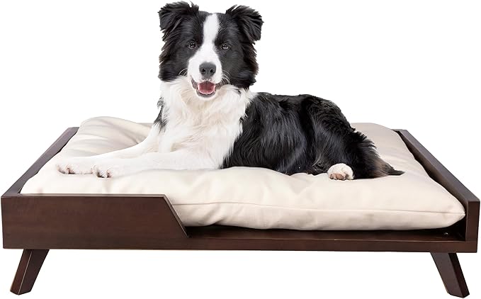 Elevated Dog Bed with Soft Cushion - 36" x 29.5" Mid-Century Modern Wood Frame