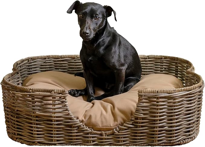 Scalloped Woven Rattan Dog Bed with Washable Cushion