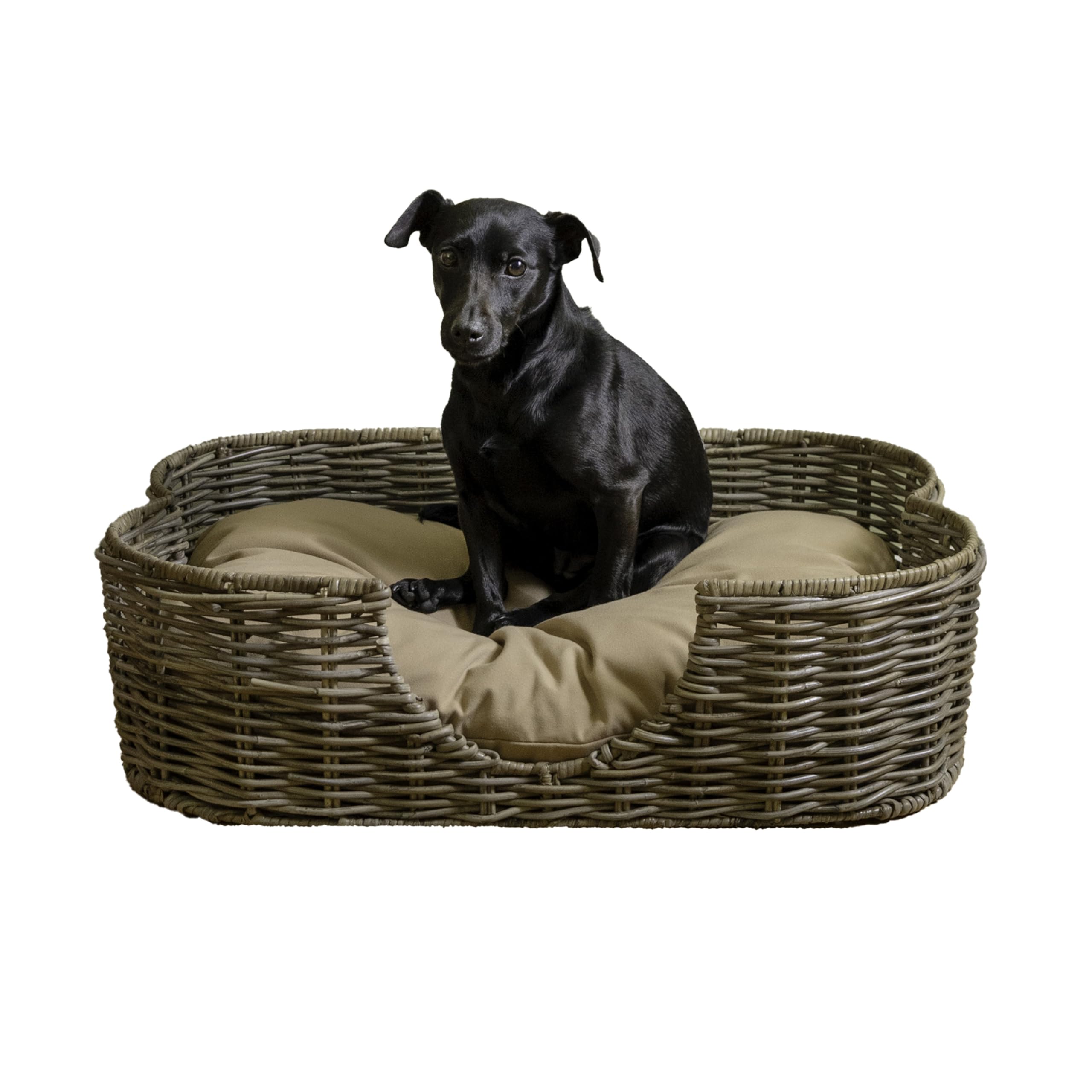 Scalloped Woven Rattan Dog Bed with Washable Cushion