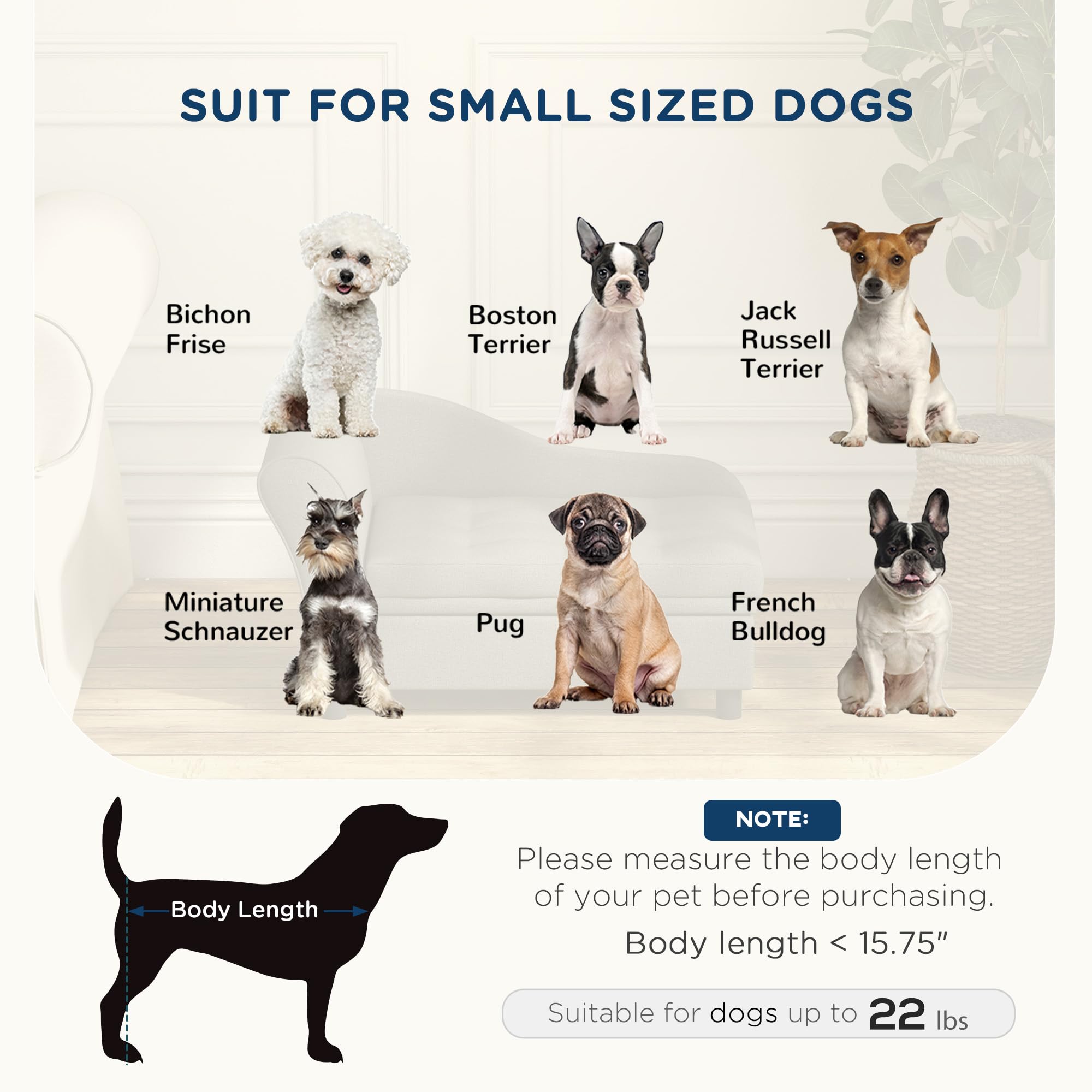 Pet Sofa with Storage for Small Dogs