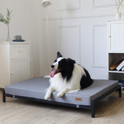 Outdoor Elevated Dog Bed for Large Dogs - Modern Style