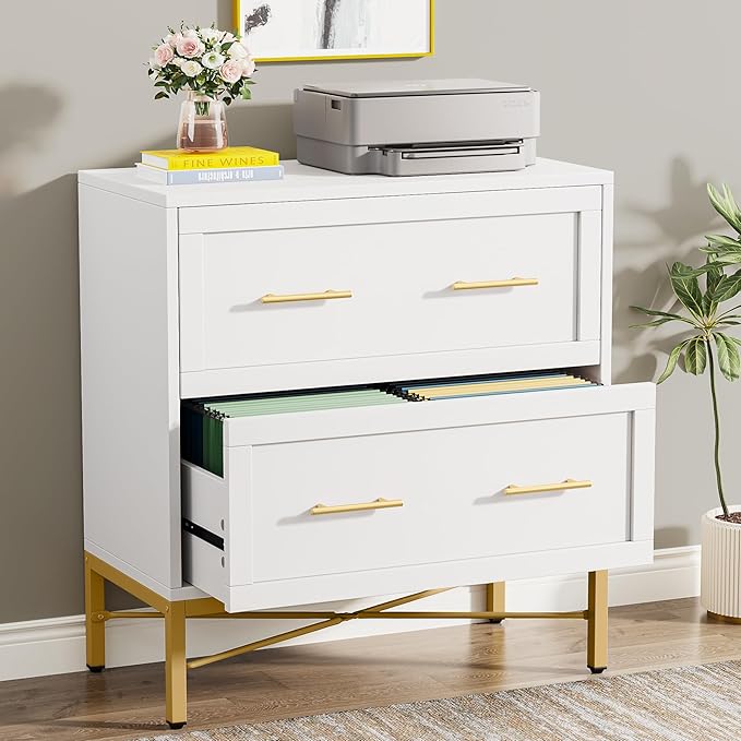 2-Drawer Lateral File Cabinet with Storage
