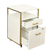 Rolling File Cabinet with Lock and USB Charging