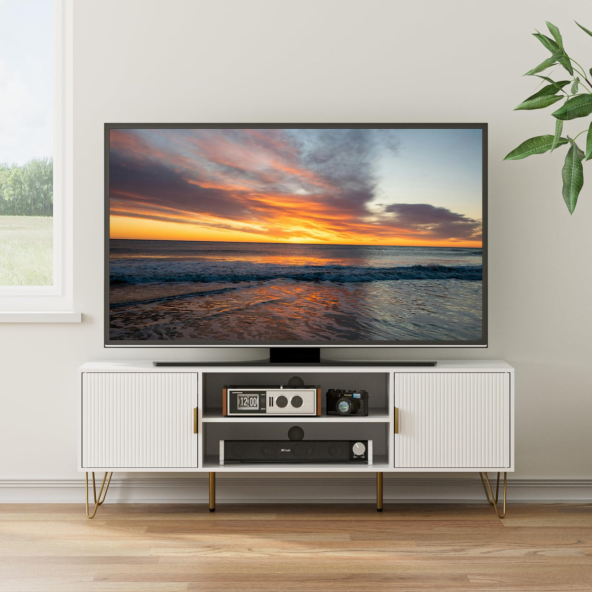 TV Stand for 55-65 Inch TV with Soft Hinge Door and 2 Cabinets