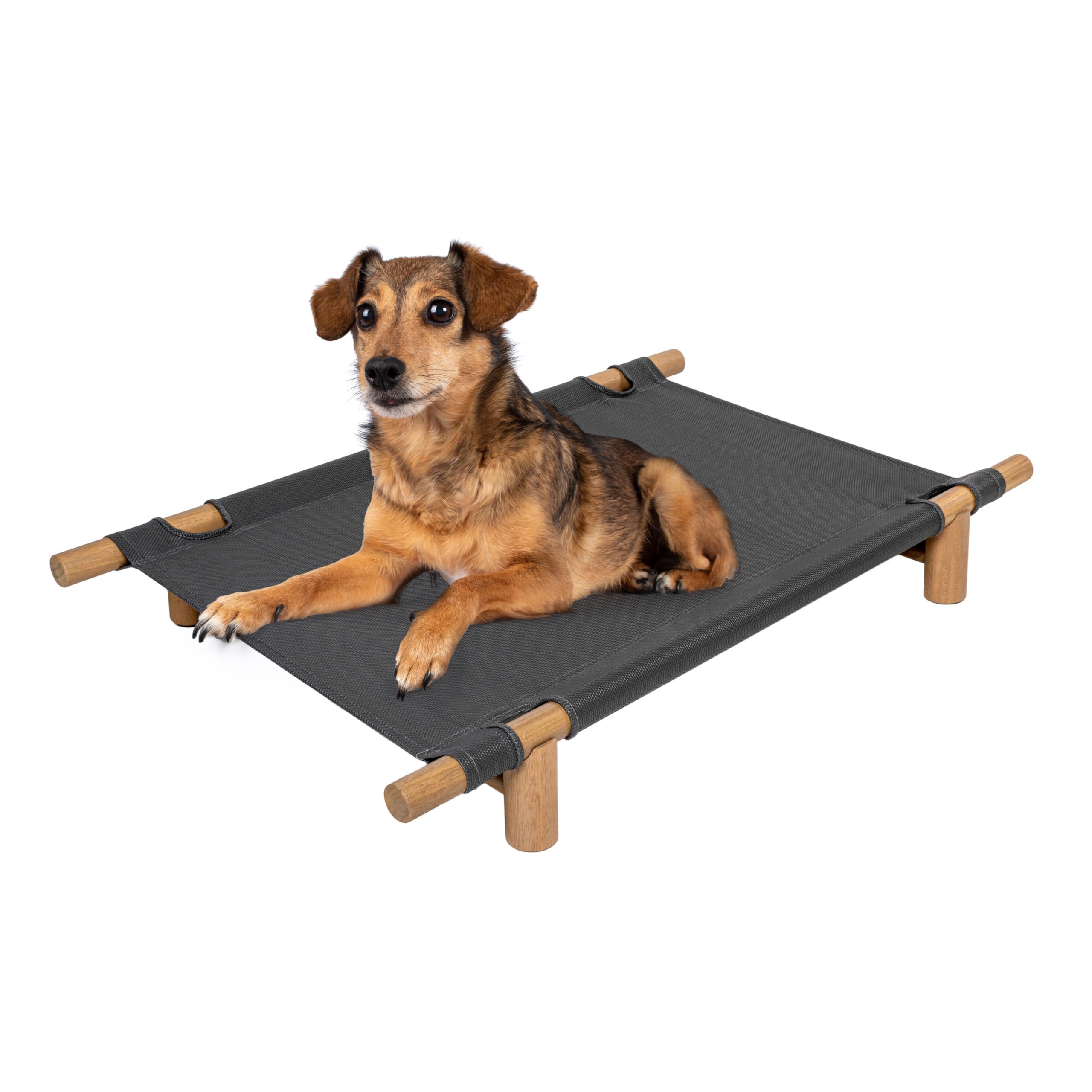 Chester 32" Elevated Outdoor Dog Bed with Wood Frame