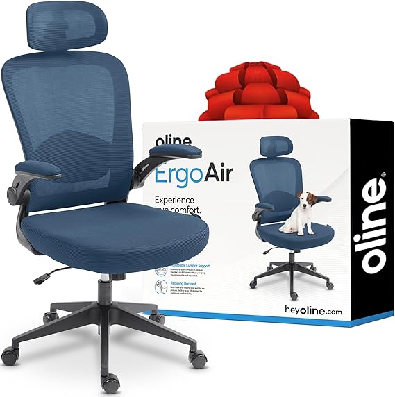 Ergonomic Mesh Office Chair with Adjustable Lumbar