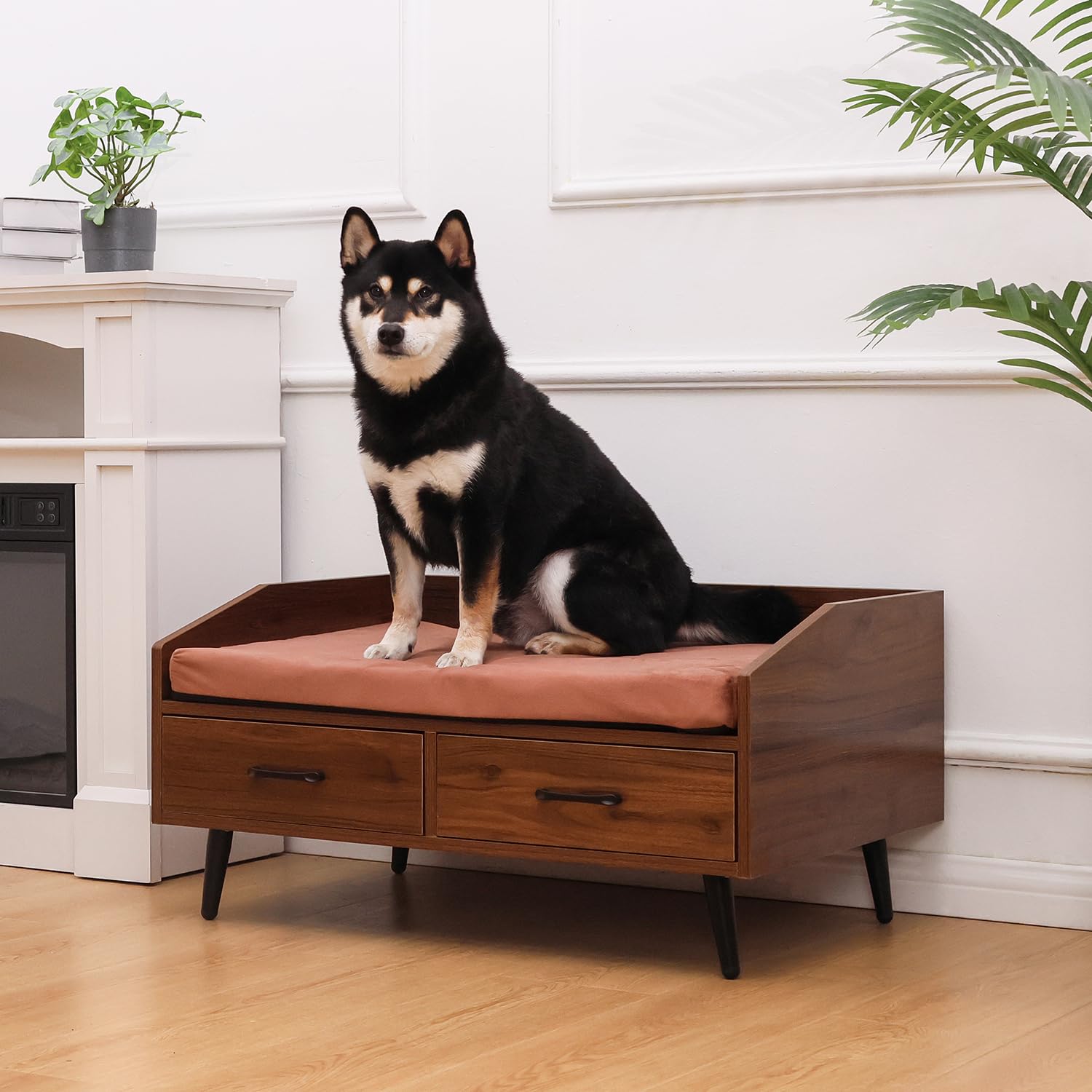 Elevated Dog Bed Frame with Mattress