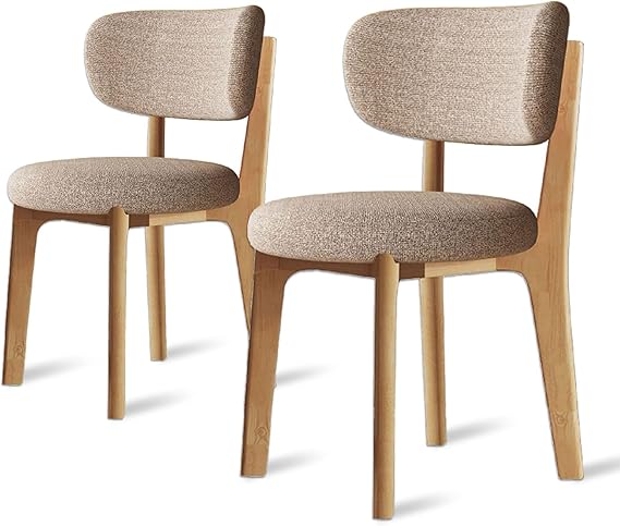 Mid Century Modern Dining Chairs Set of 2