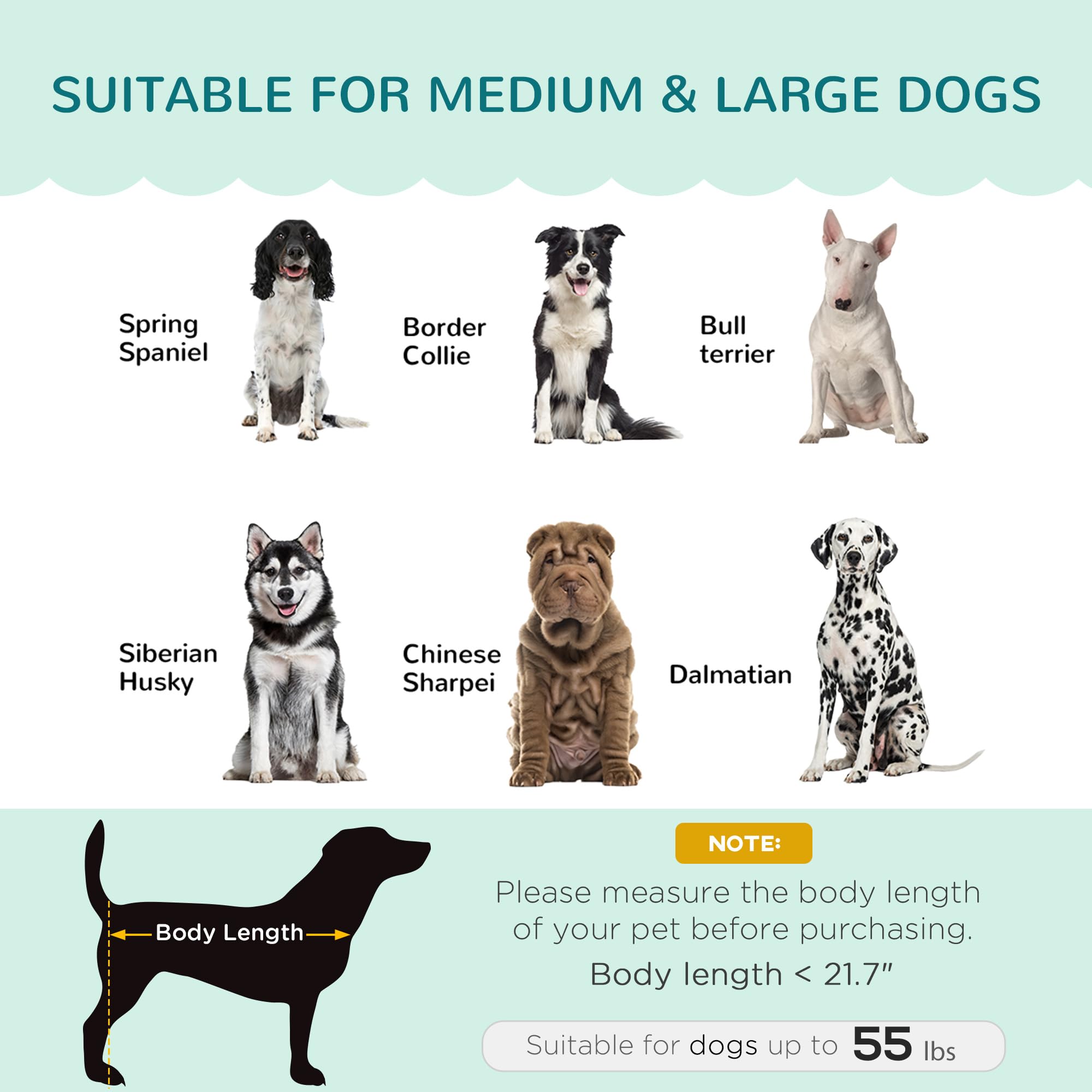 Velvet Large Dog Couch with Foam Cushion