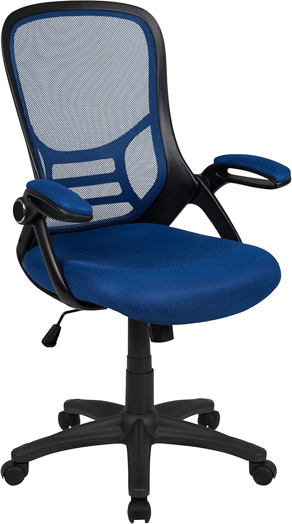 Ergonomic Mesh Office Chair with Lumbar Support