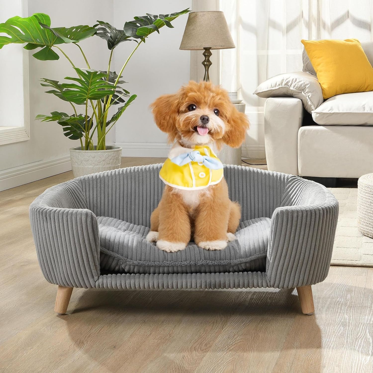 Dog Sofa Couch Bed for Small Dogs with Elevated Design