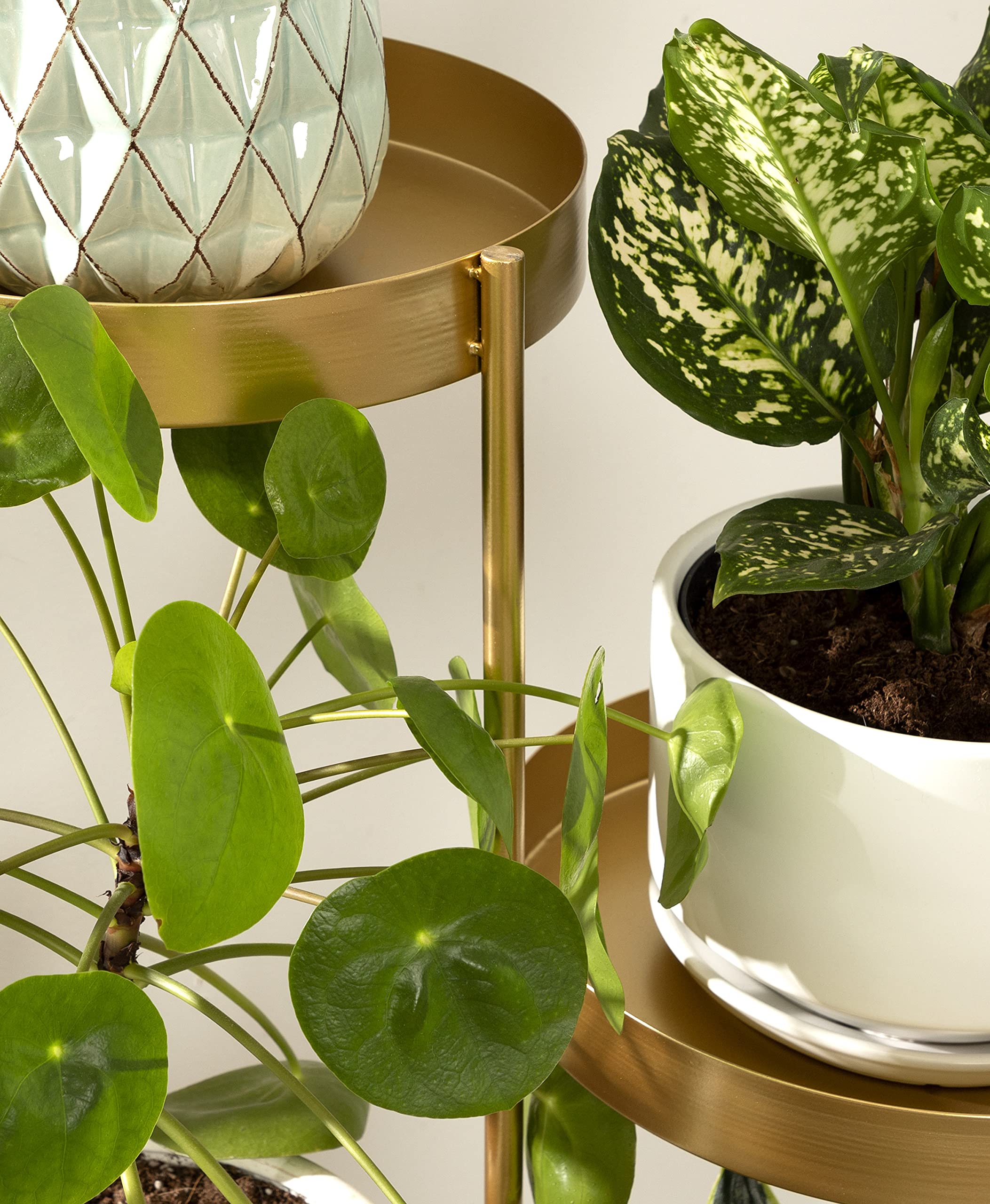 Modern 4-Tier Plant Stand - Gold Folding Display