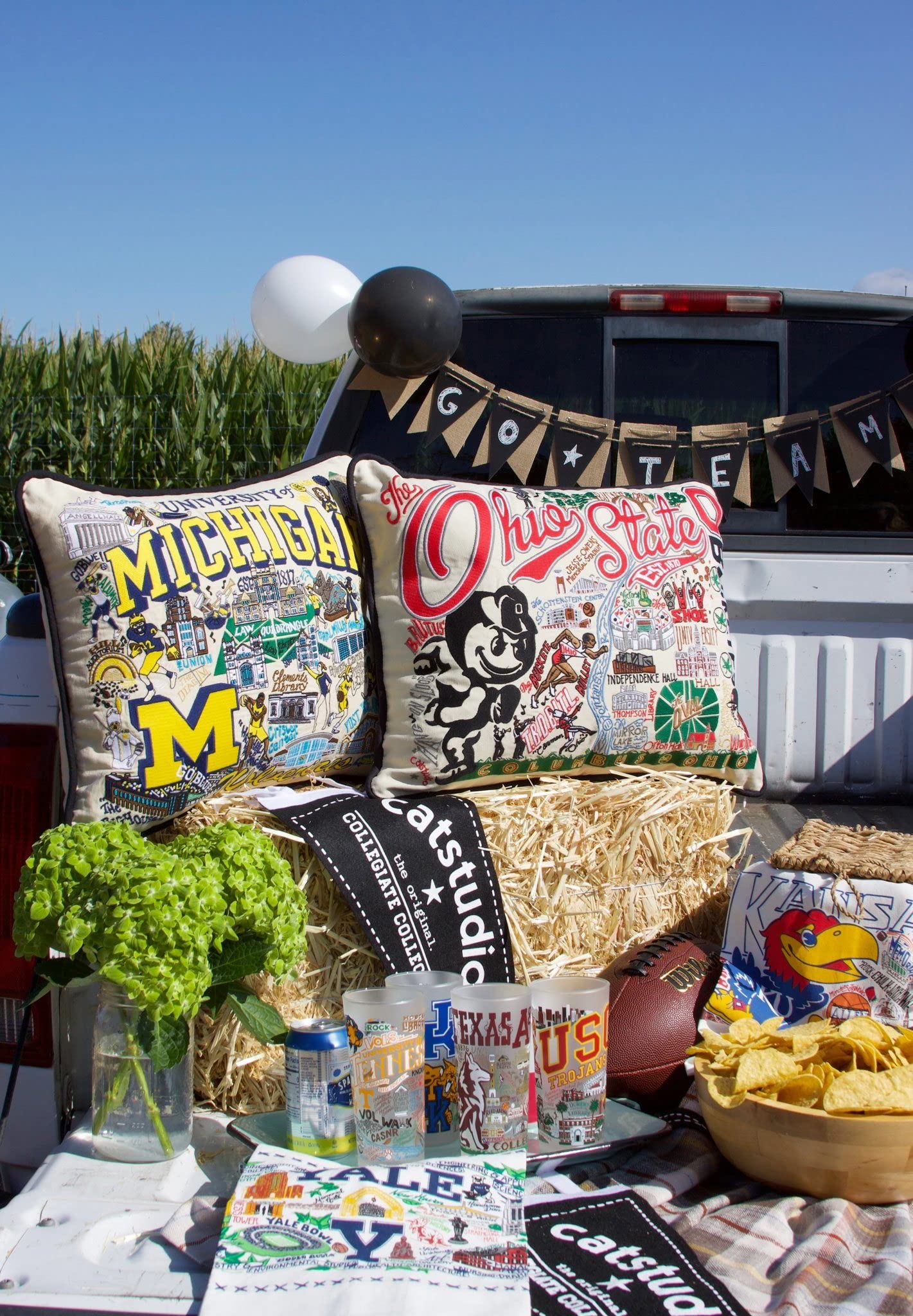 University of Michigan Embroidered Decorative Throw Pillow