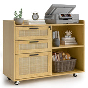 3 Drawer Rattan File Cabinet with Lock