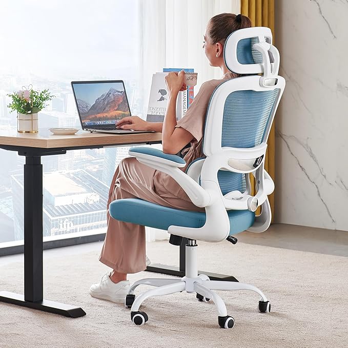 Ergonomic Mesh Office Chair with Adjustable Lumbar Support